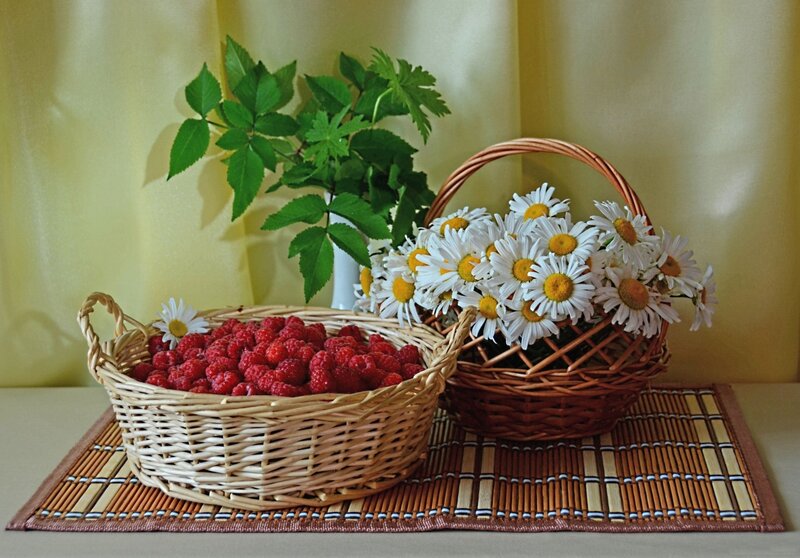 Raspberries and Daisies