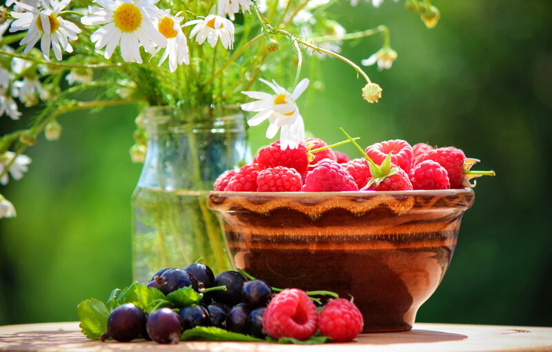 Raspberries and Grapes