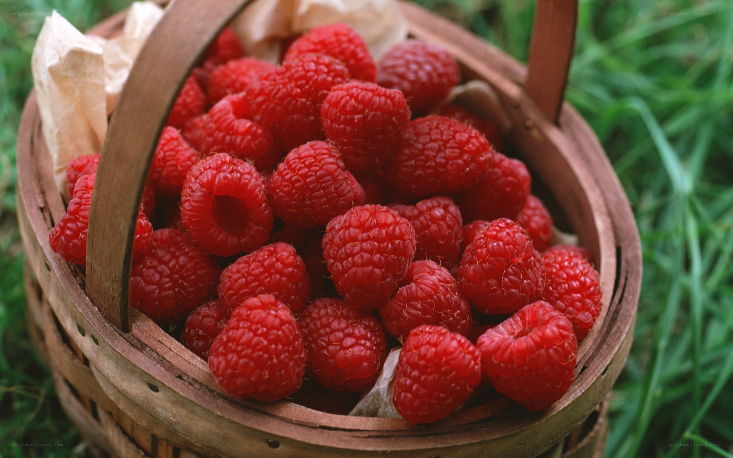 Raspberries in a basket