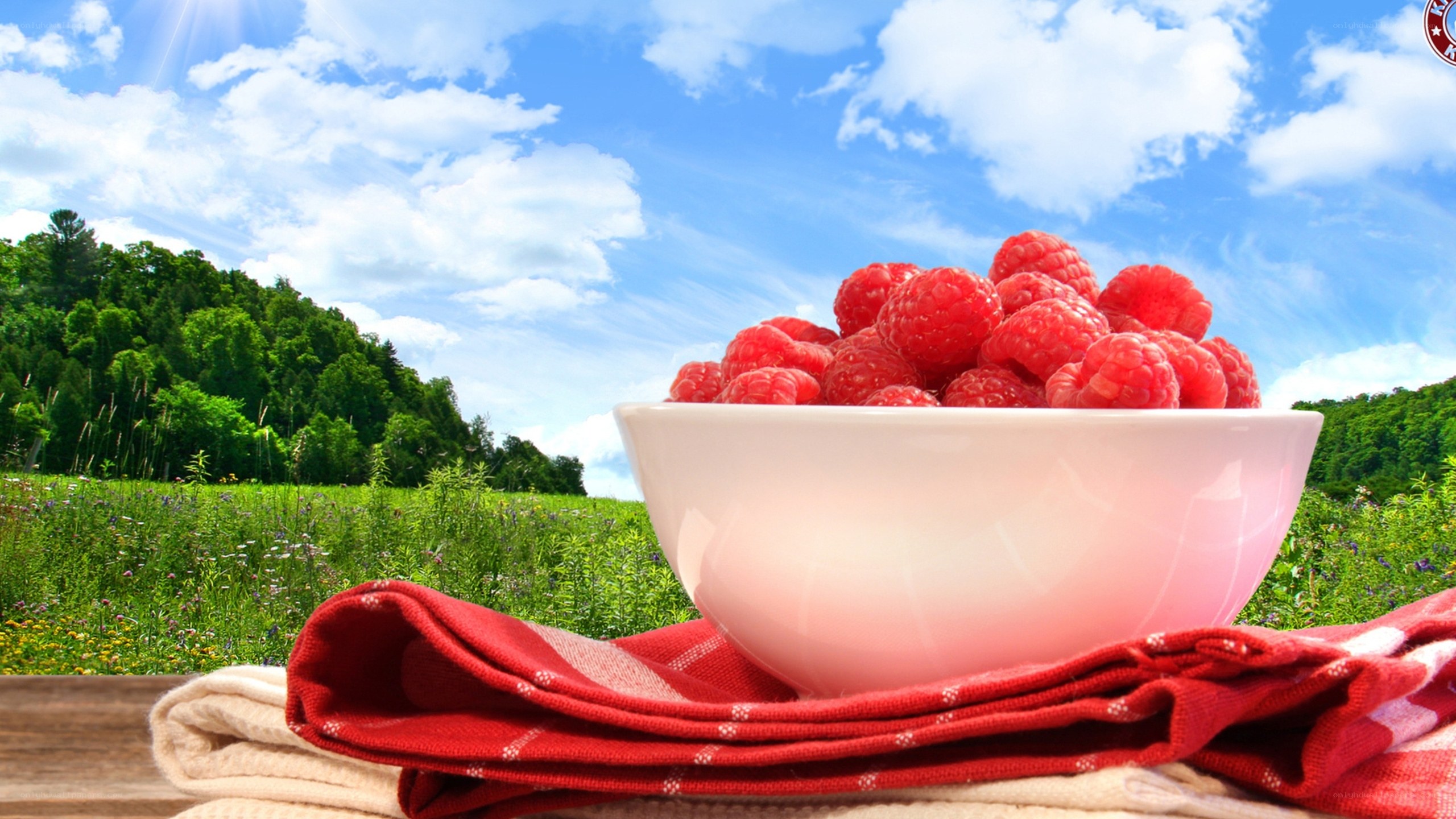 Raspberries in a bowl