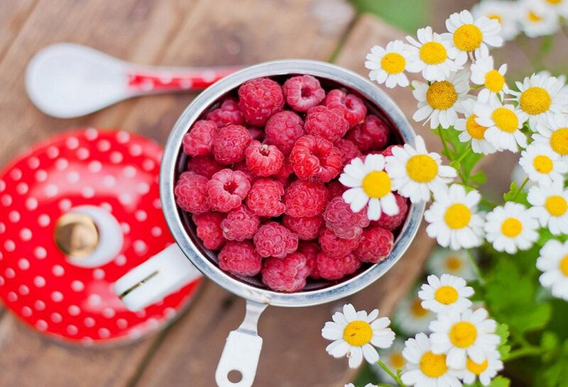 Raspberries in a Bowl — Red, Serene