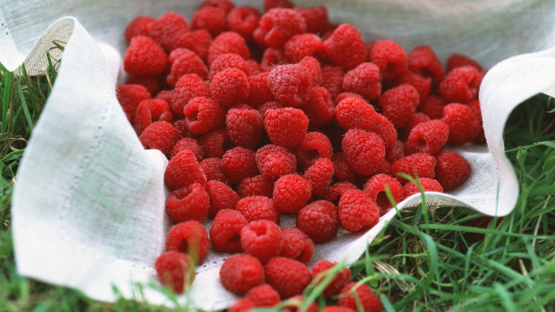 Raspberries in a cloth bag