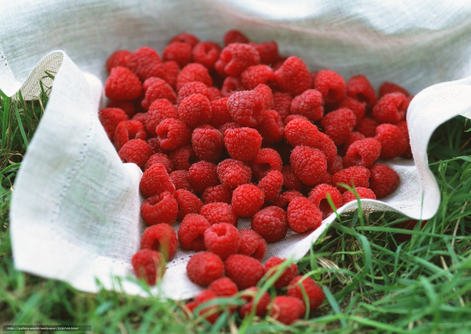 Raspberries in a cloth bag
