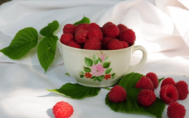 Raspberries in a floral cup
