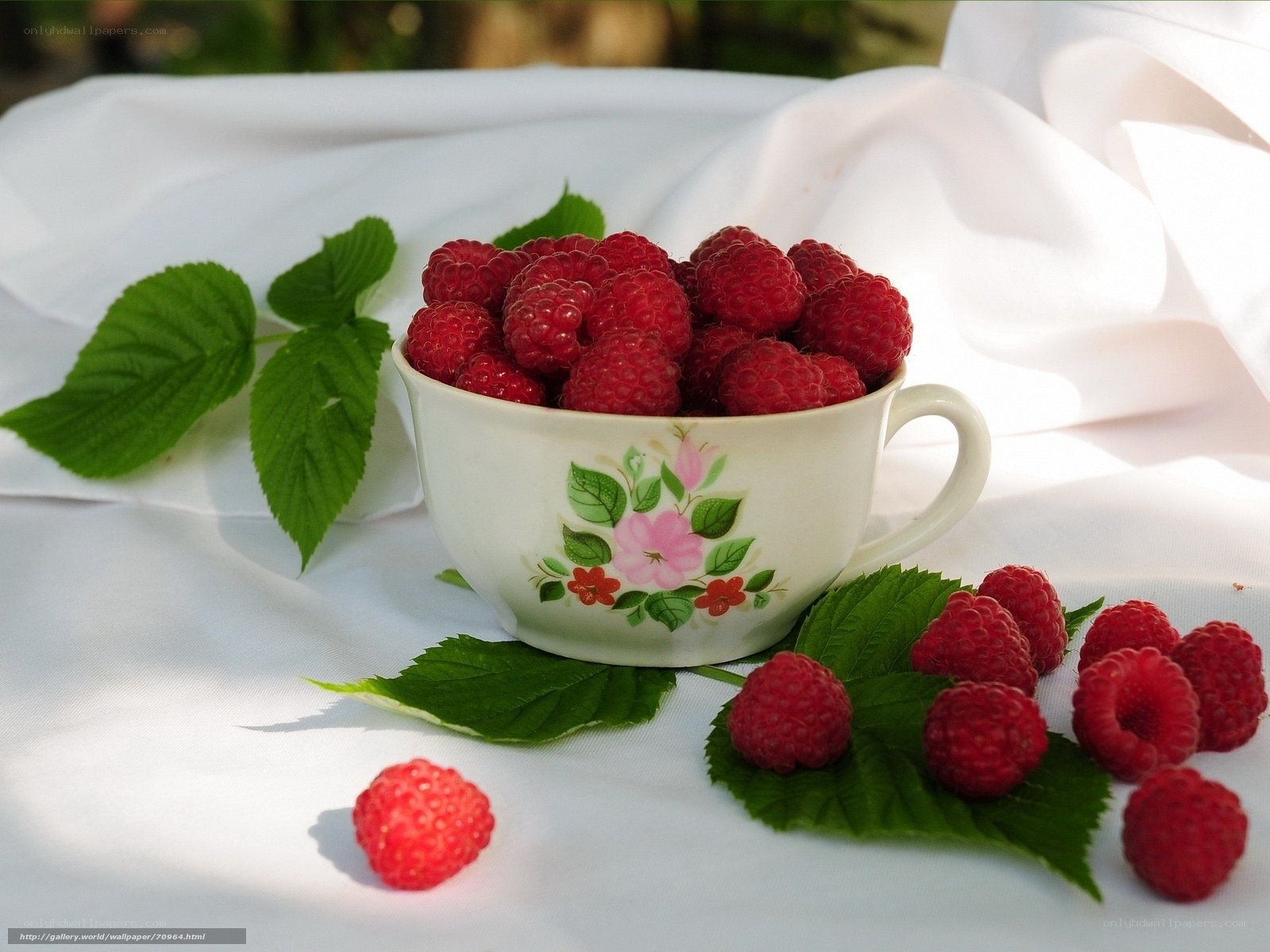 Raspberries in a floral cup