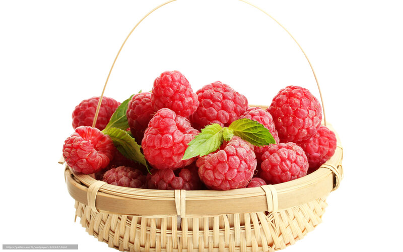 Raspberries in Basket — Red, Fresh