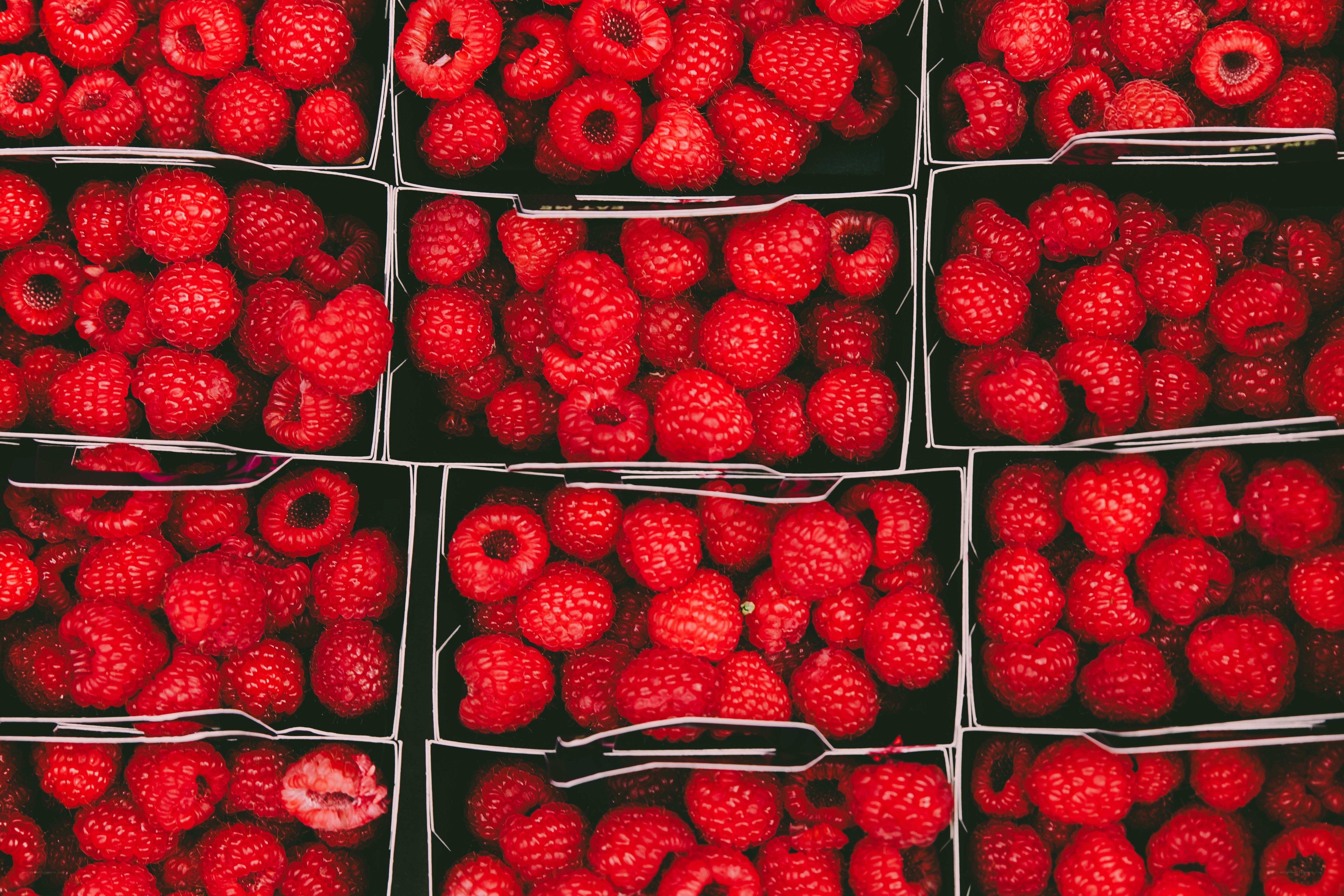Raspberries in black containers