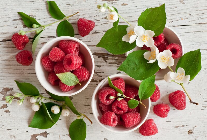 Raspberries in Bowls — Red