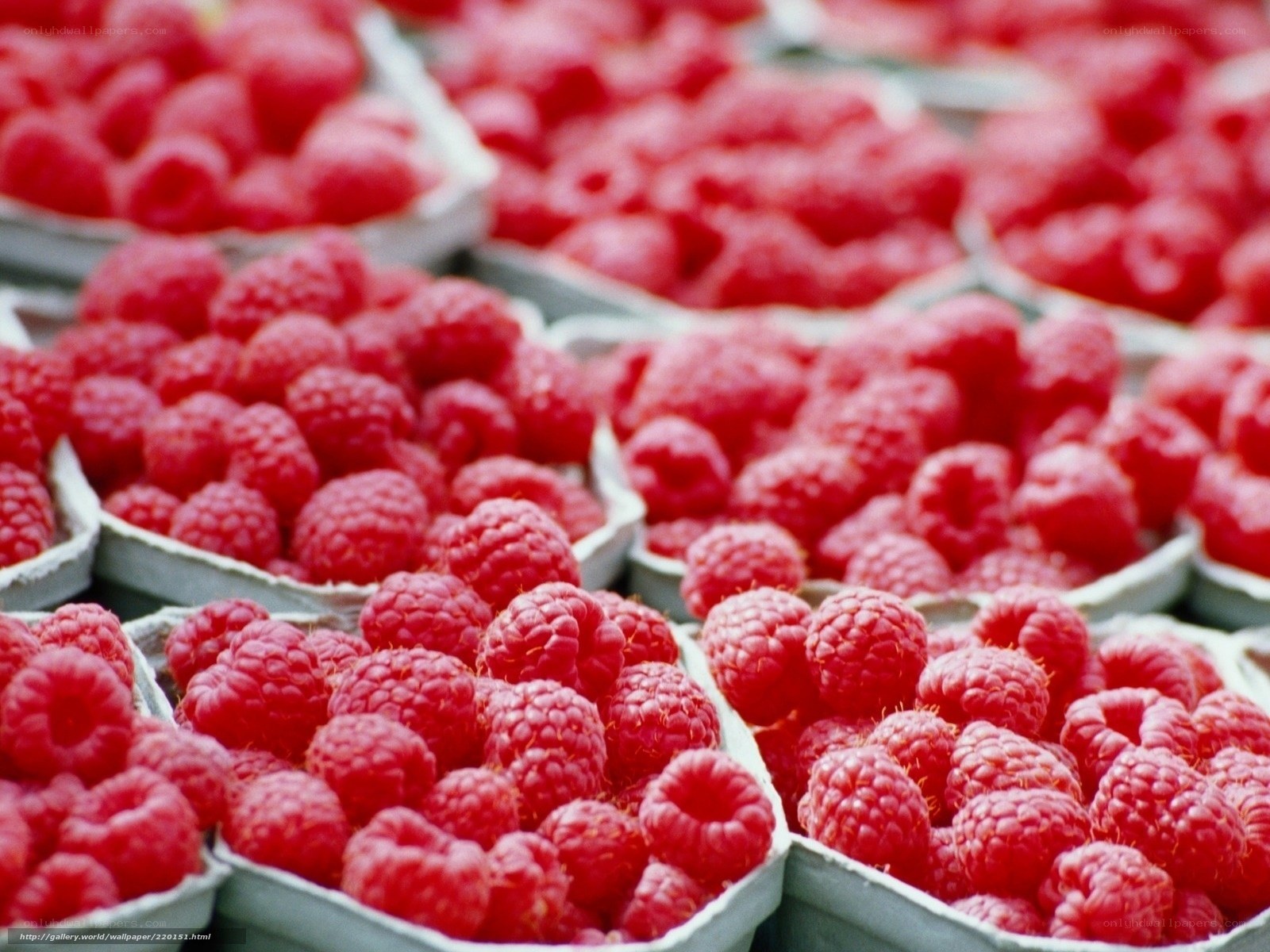Raspberries in containers