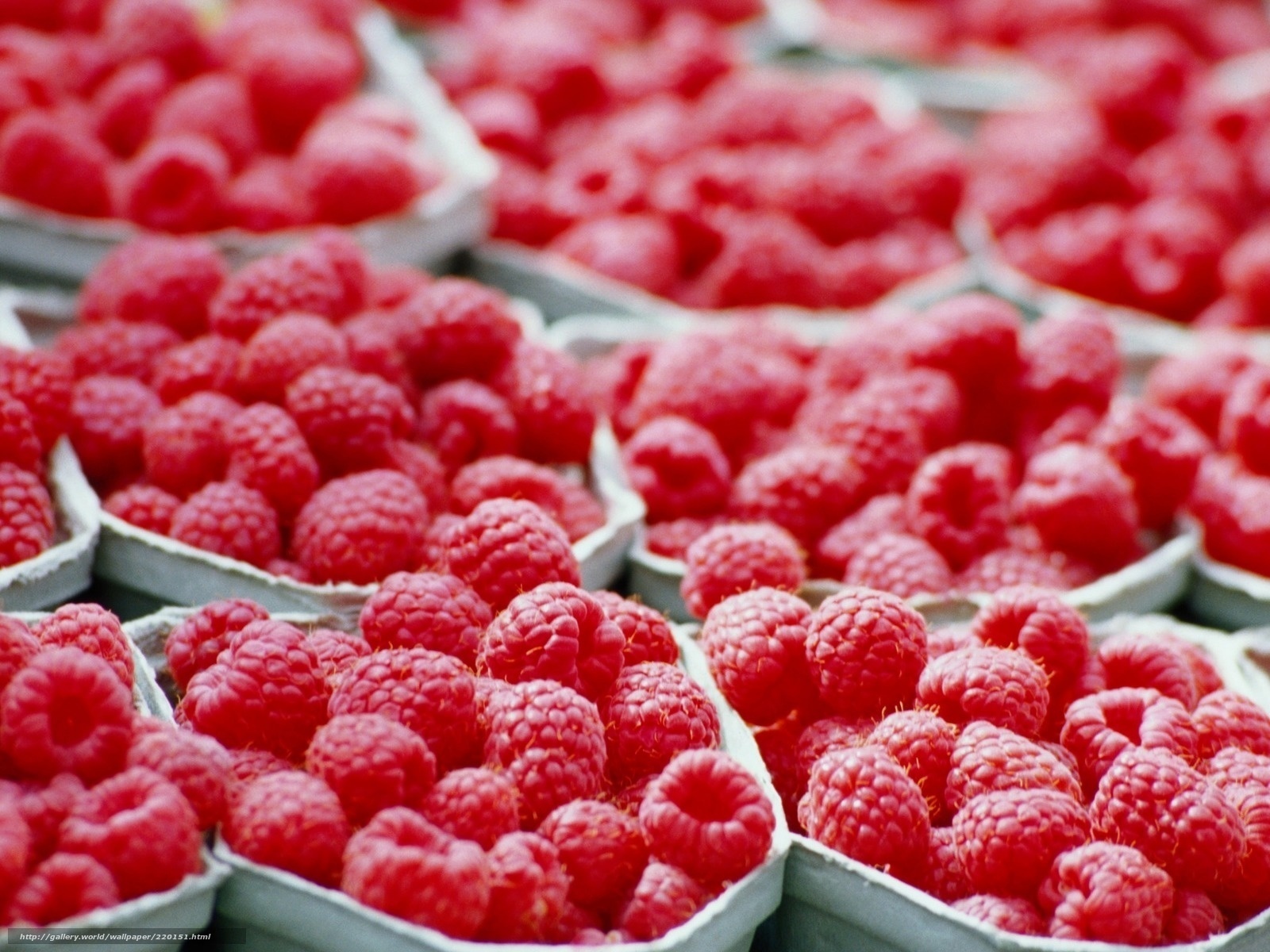 Raspberries in containers