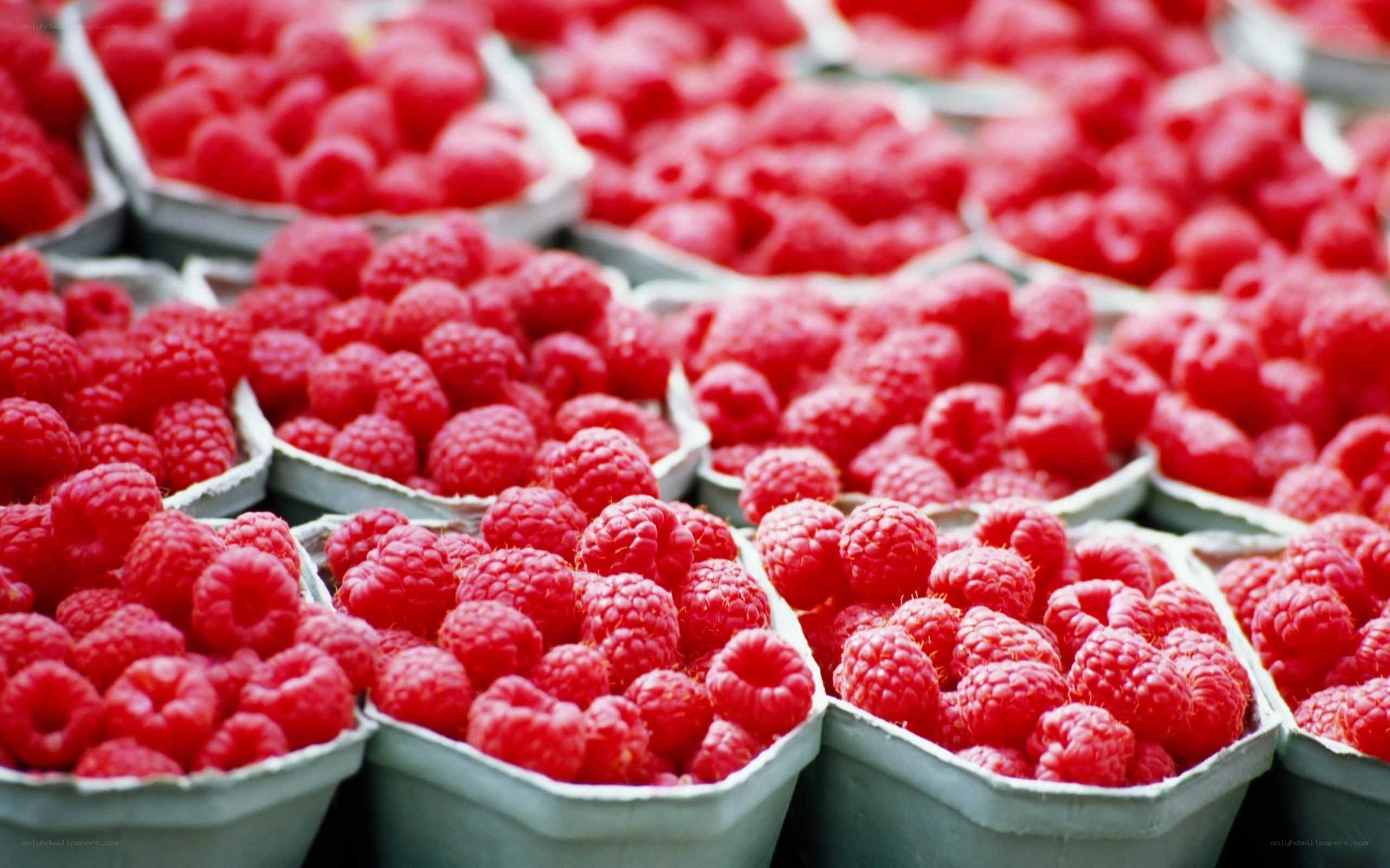 Raspberries in containers