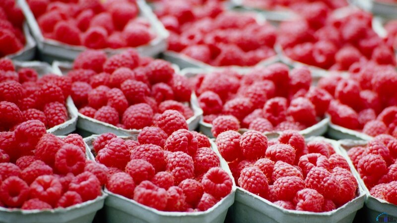 Raspberries in containers