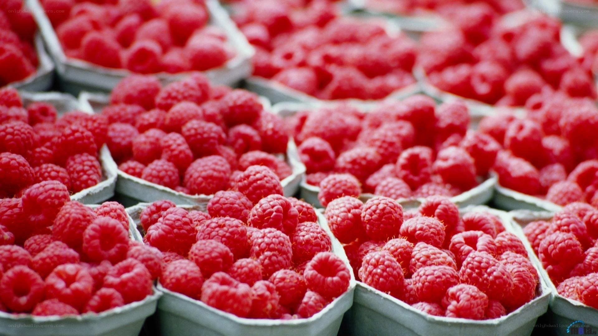 Raspberries in containers