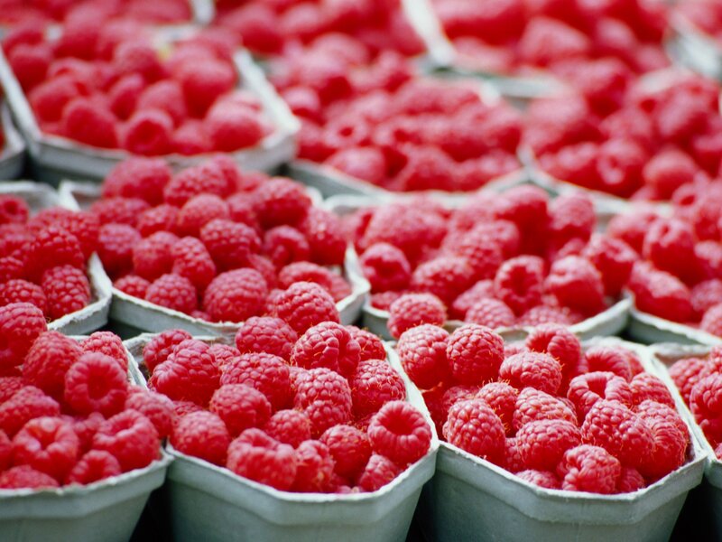 Raspberries in containers