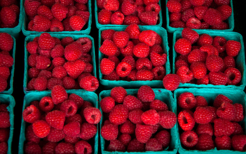 Raspberries in Containers — Red