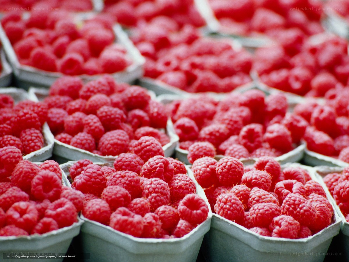 Raspberries in containers