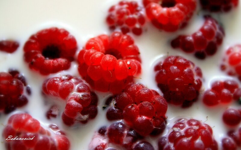 Raspberries in Milk — Red, Fresh