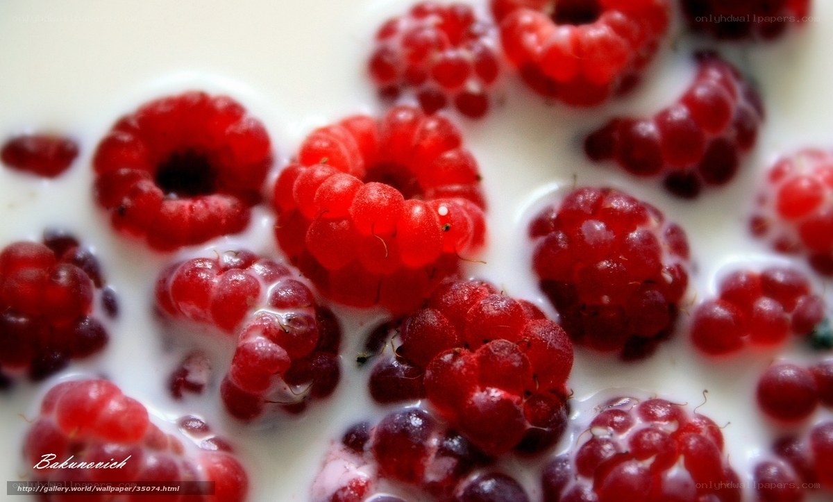 Raspberries in milk