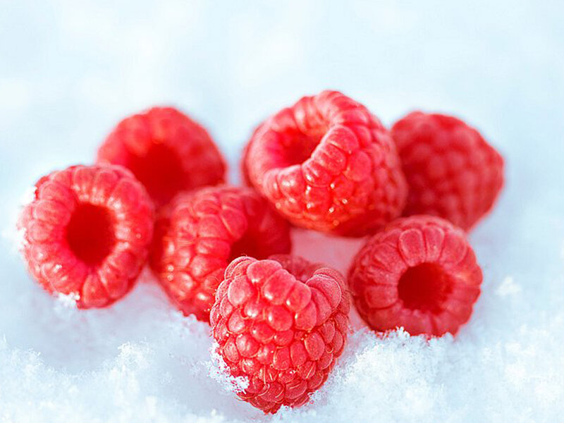 Raspberries in Snow