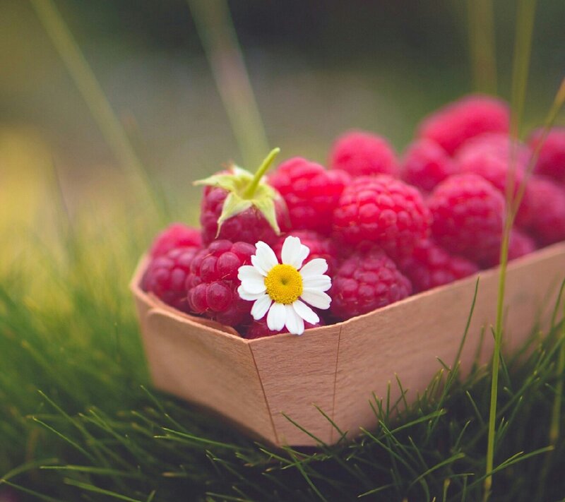 Raspberries in Wooden Basket — Red