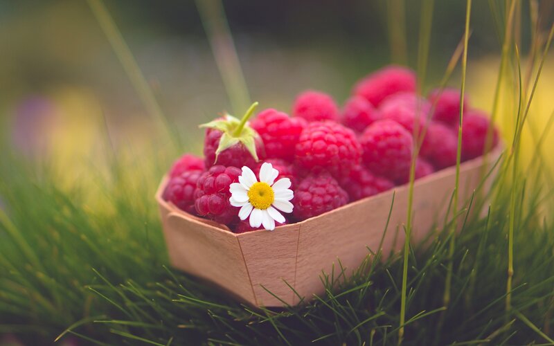 Raspberries in Wooden Basket