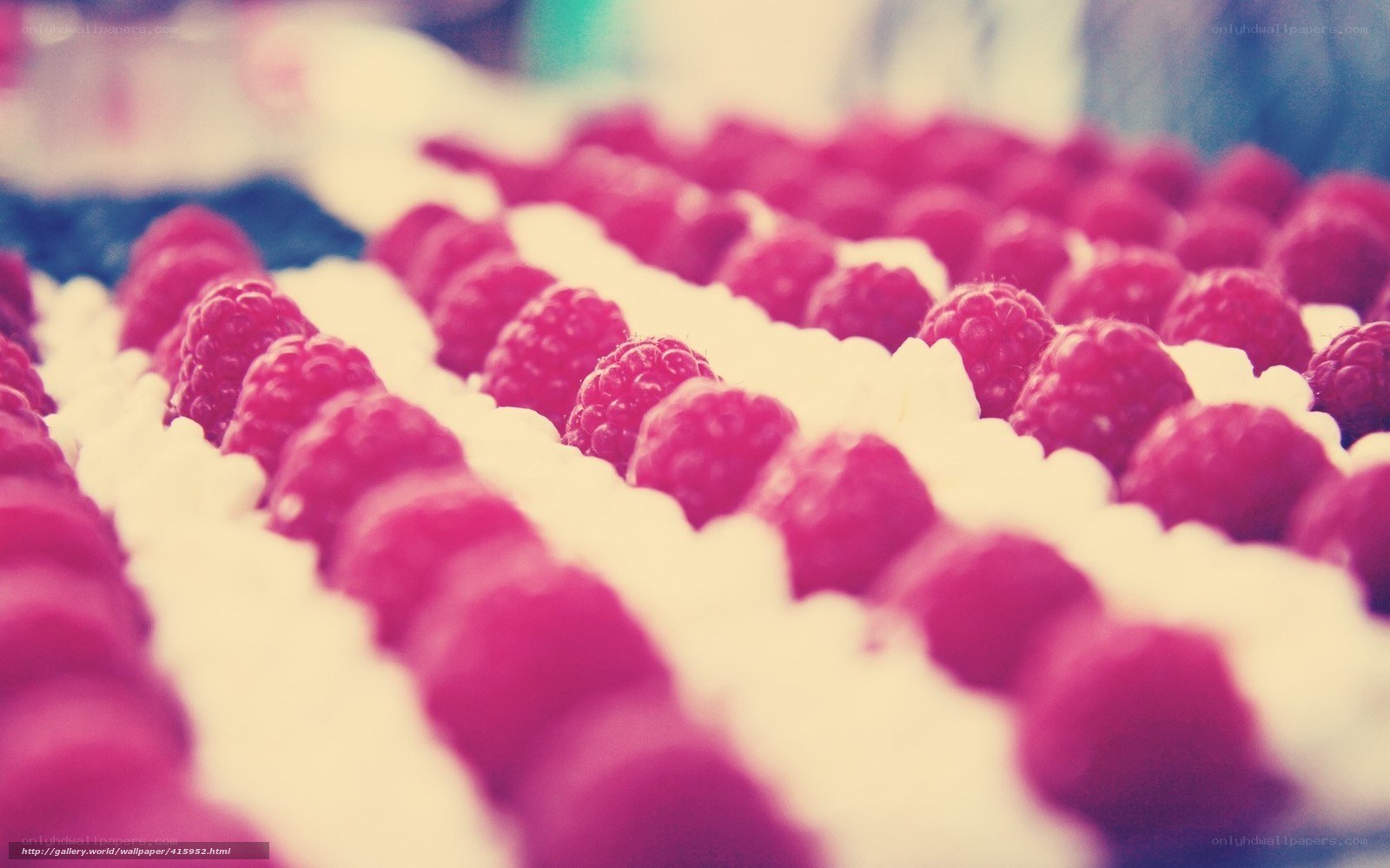 Raspberries on cream dessert