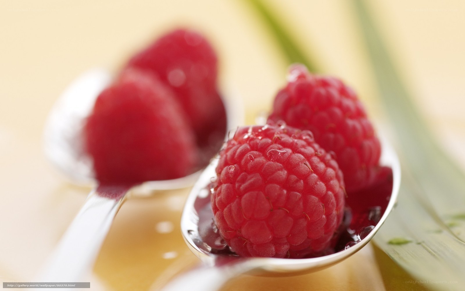 Raspberries on spoons