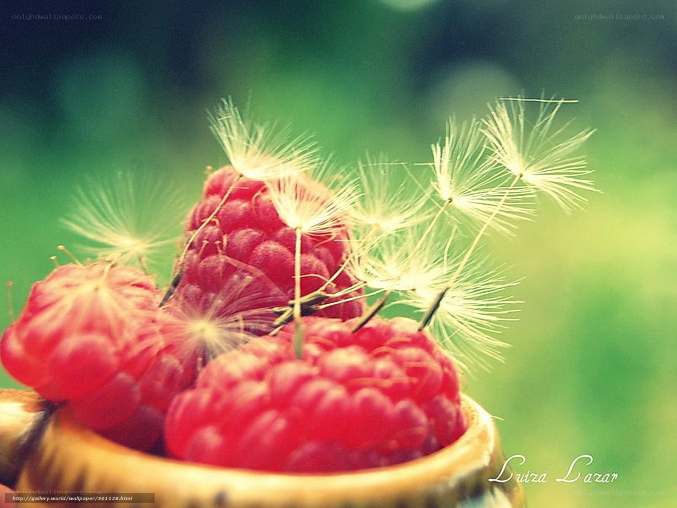 Raspberries with dandelion seeds
