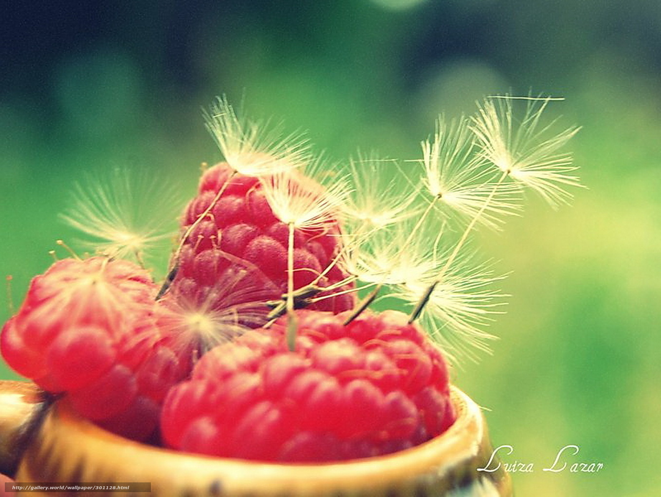 Raspberries with dandelion seeds