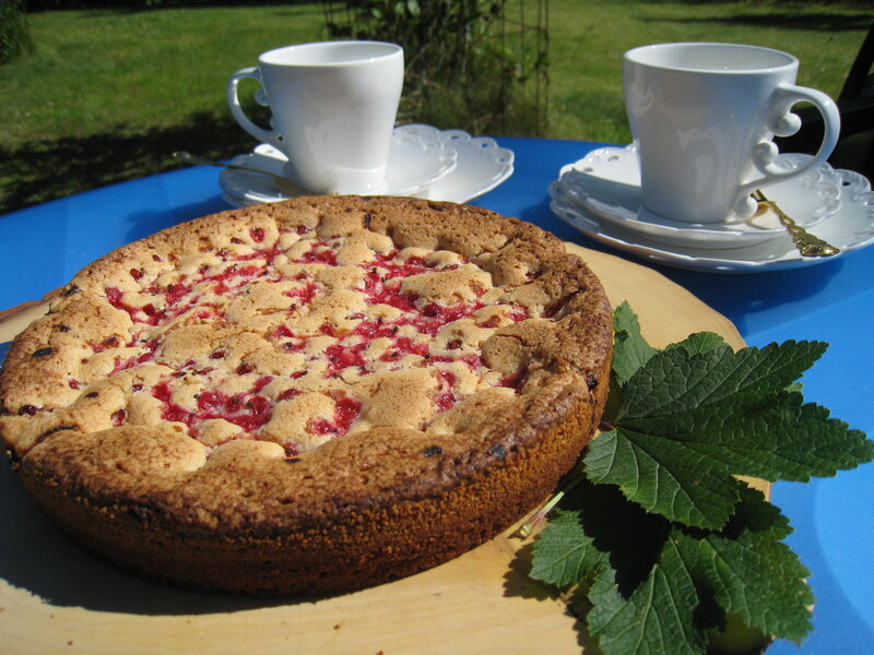 Raspberry Cake on Table
