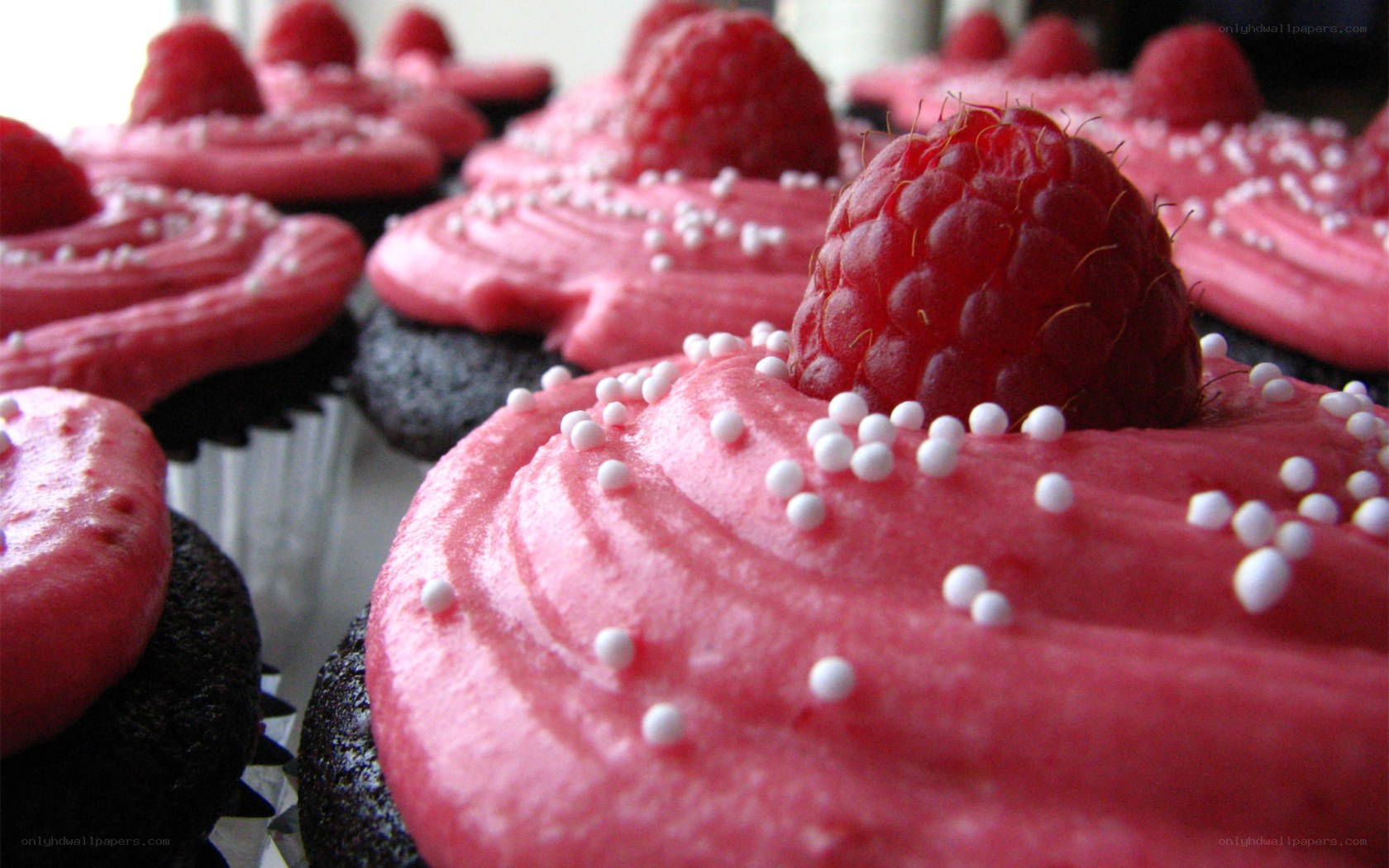 raspberry cupcakes with pink frosting