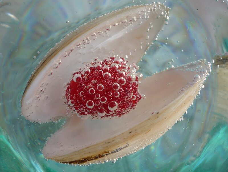 Raspberry in Clam Shell