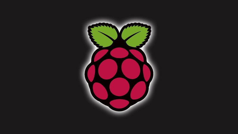 Raspberry Logo — Black, Neutral