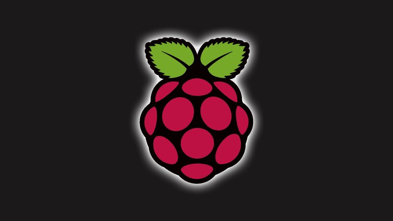 Raspberry Logo — Black