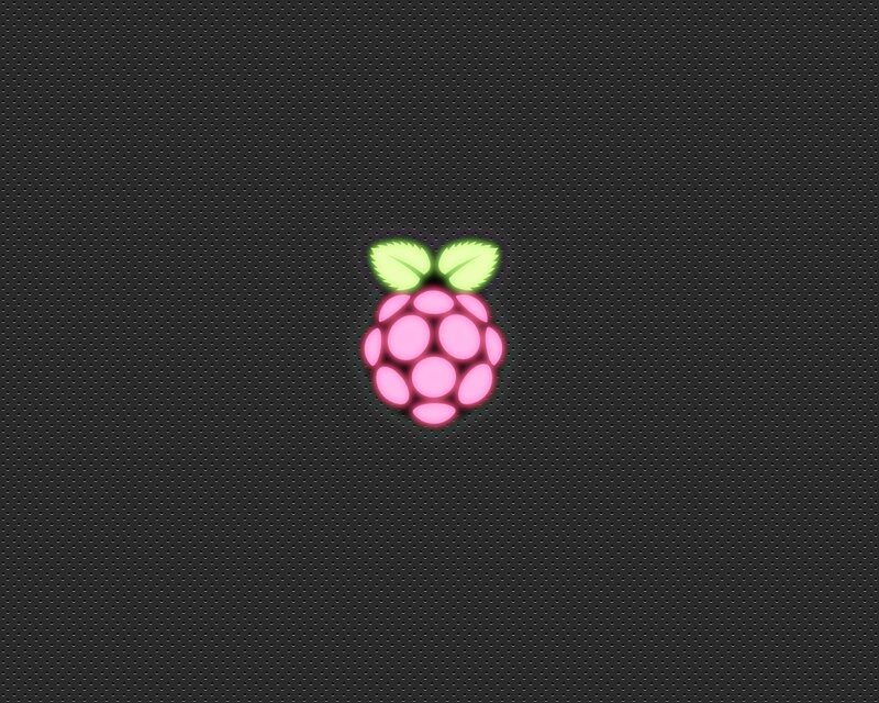 Raspberry Logo — Pink