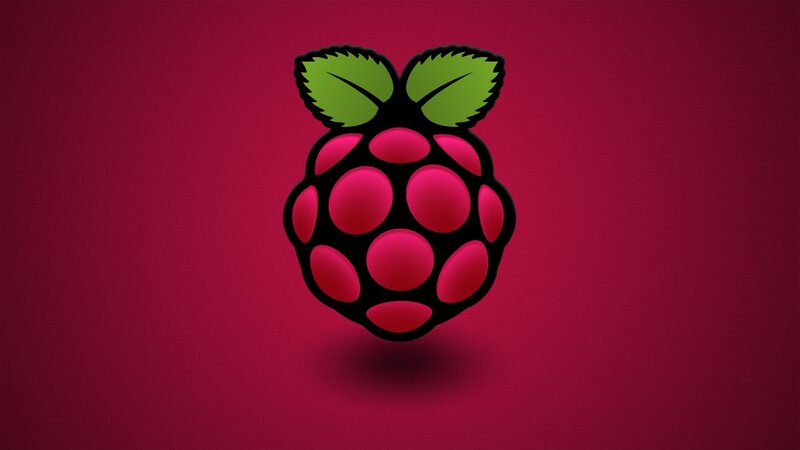 Raspberry Logo