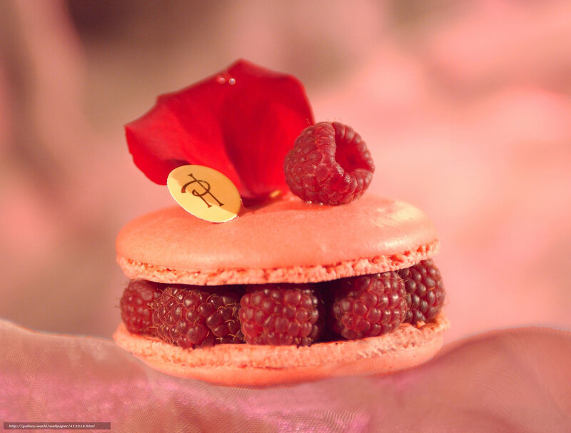 Raspberry Macaron Dessert — Pink, Delicate