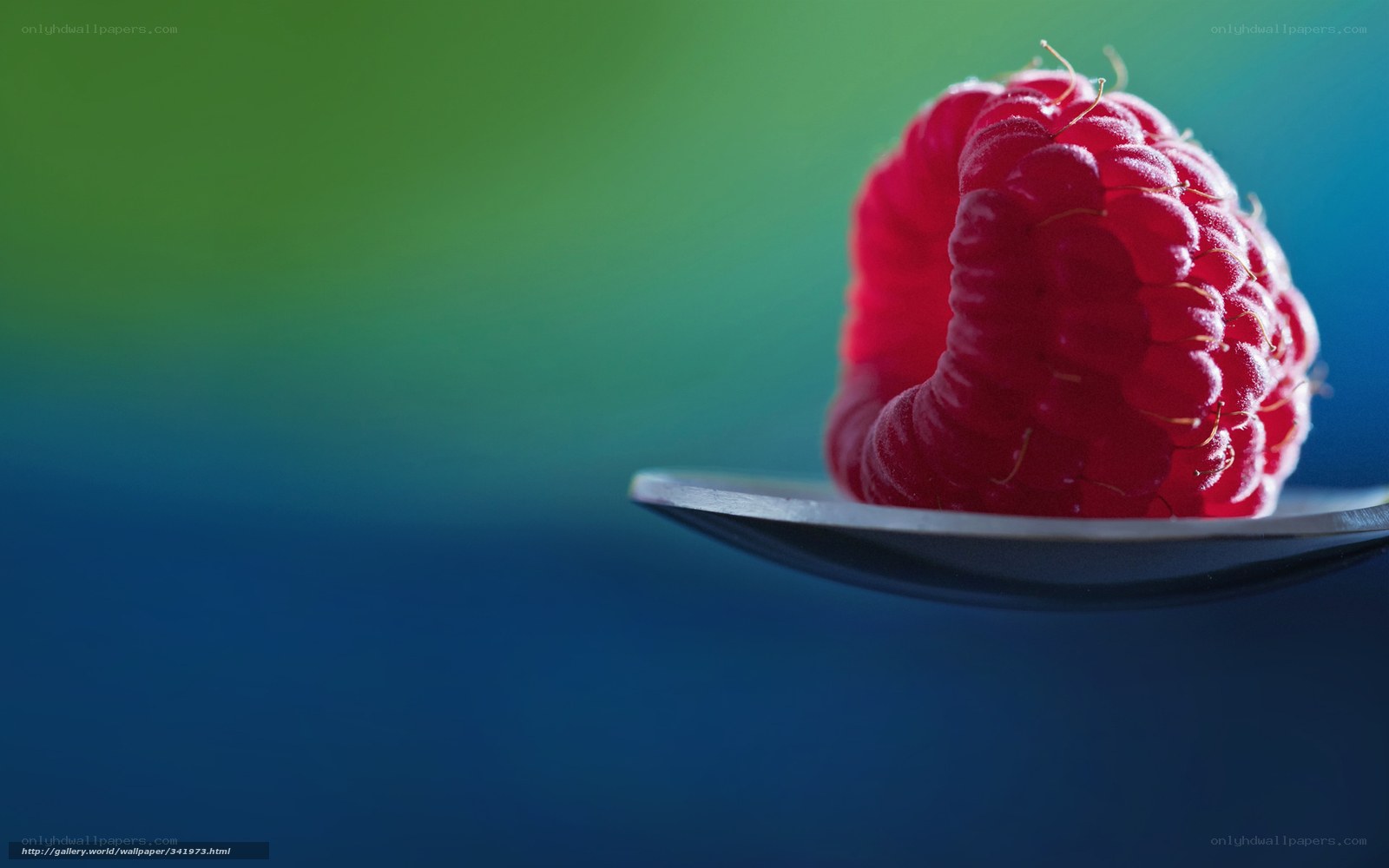 Raspberry on a spoon