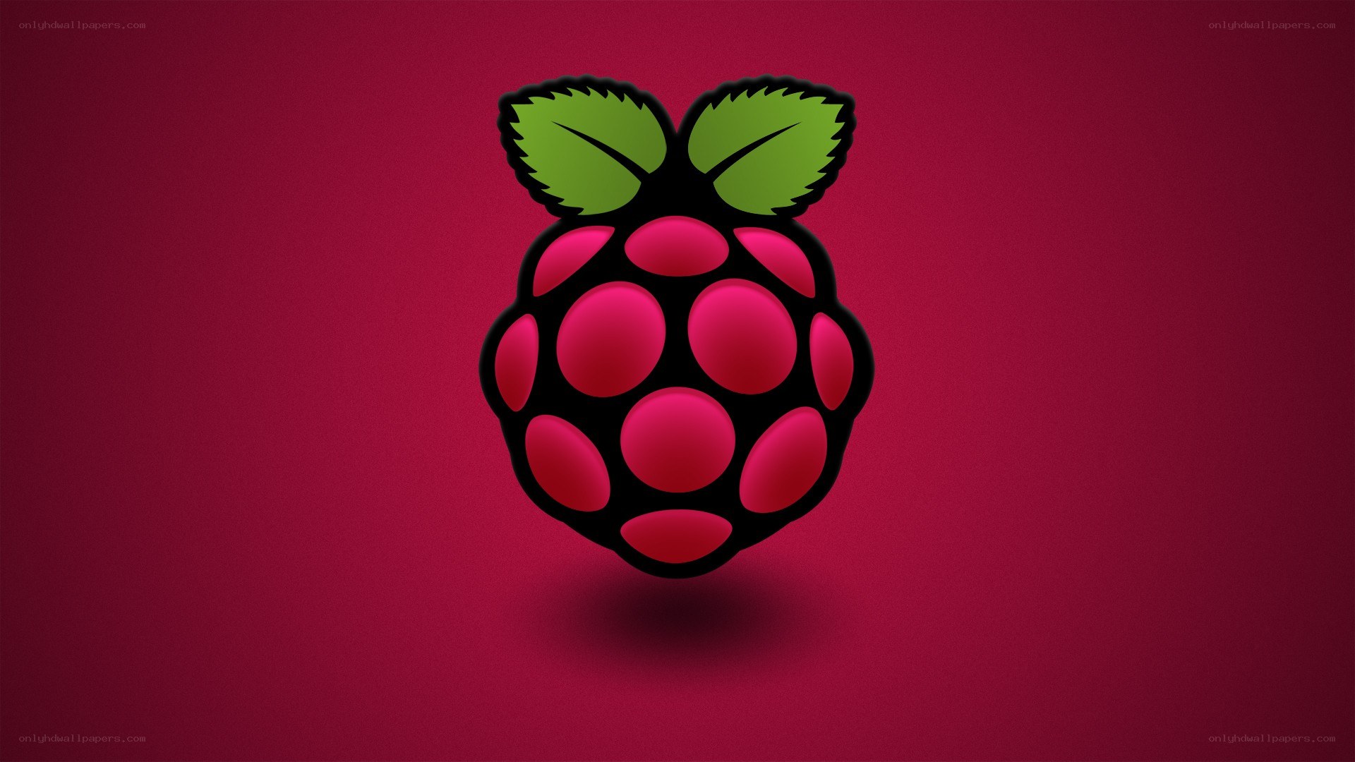 Raspberry Pi logo on red