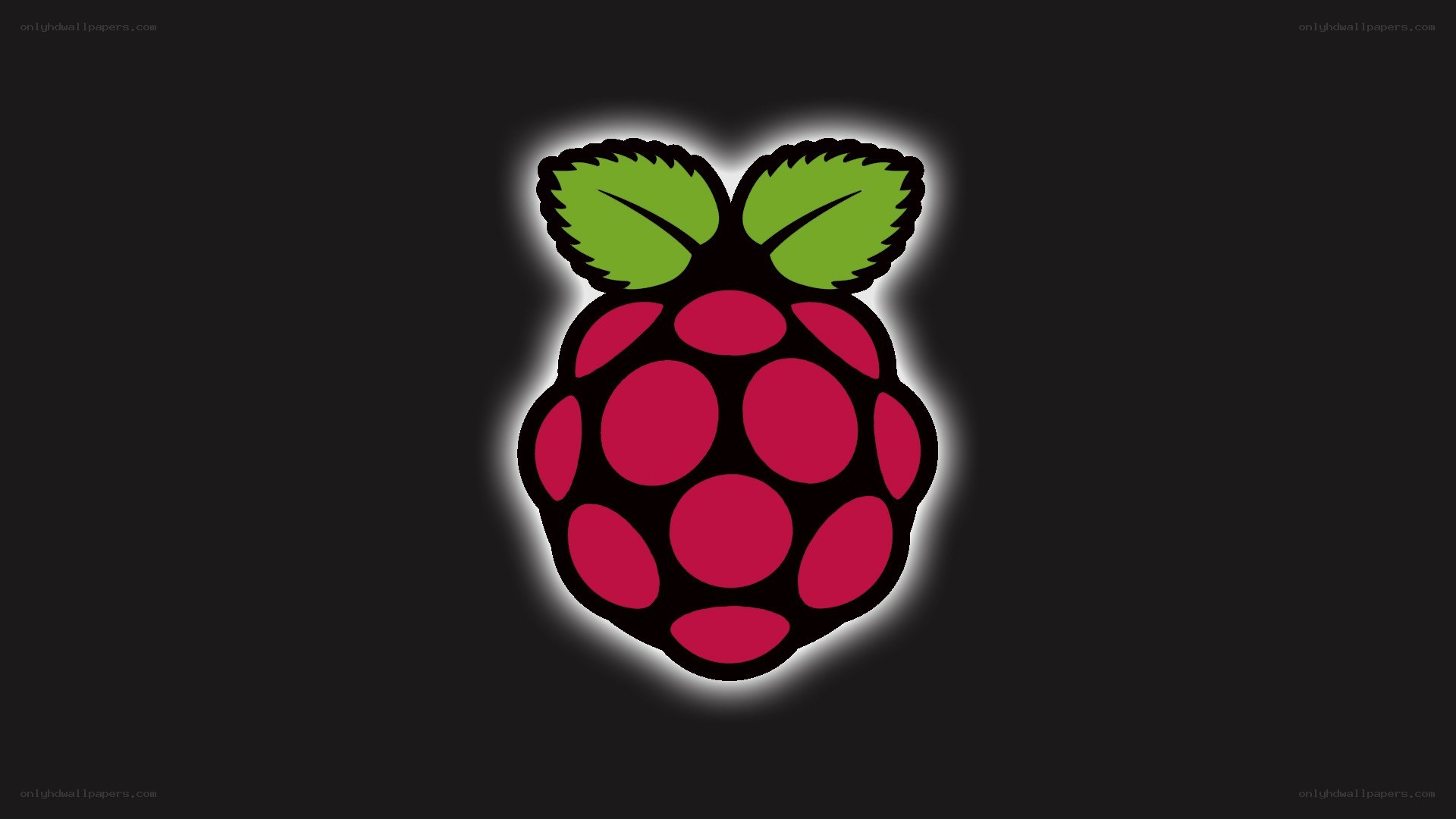 Raspberry Pi logo