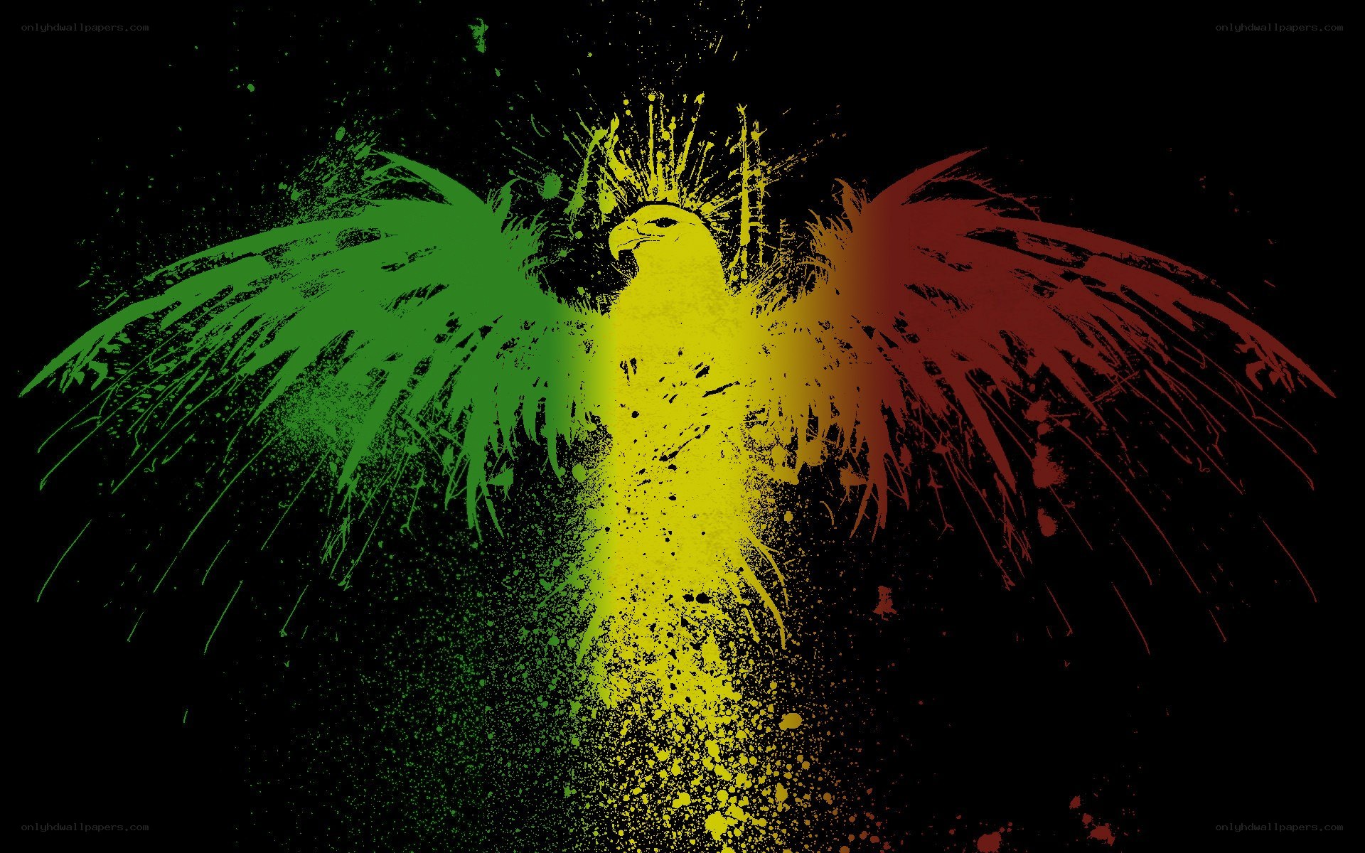Rasta eagle with splattered colors
