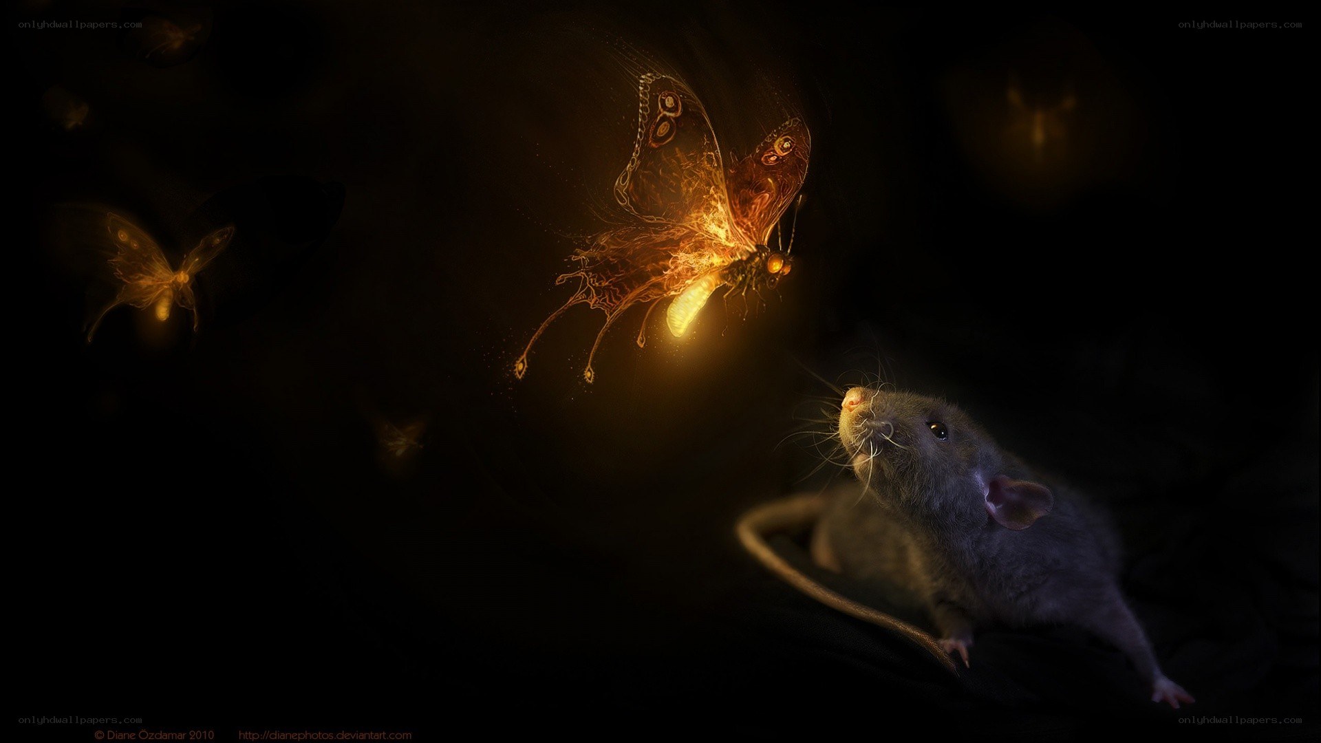 rat and glowing butterfly