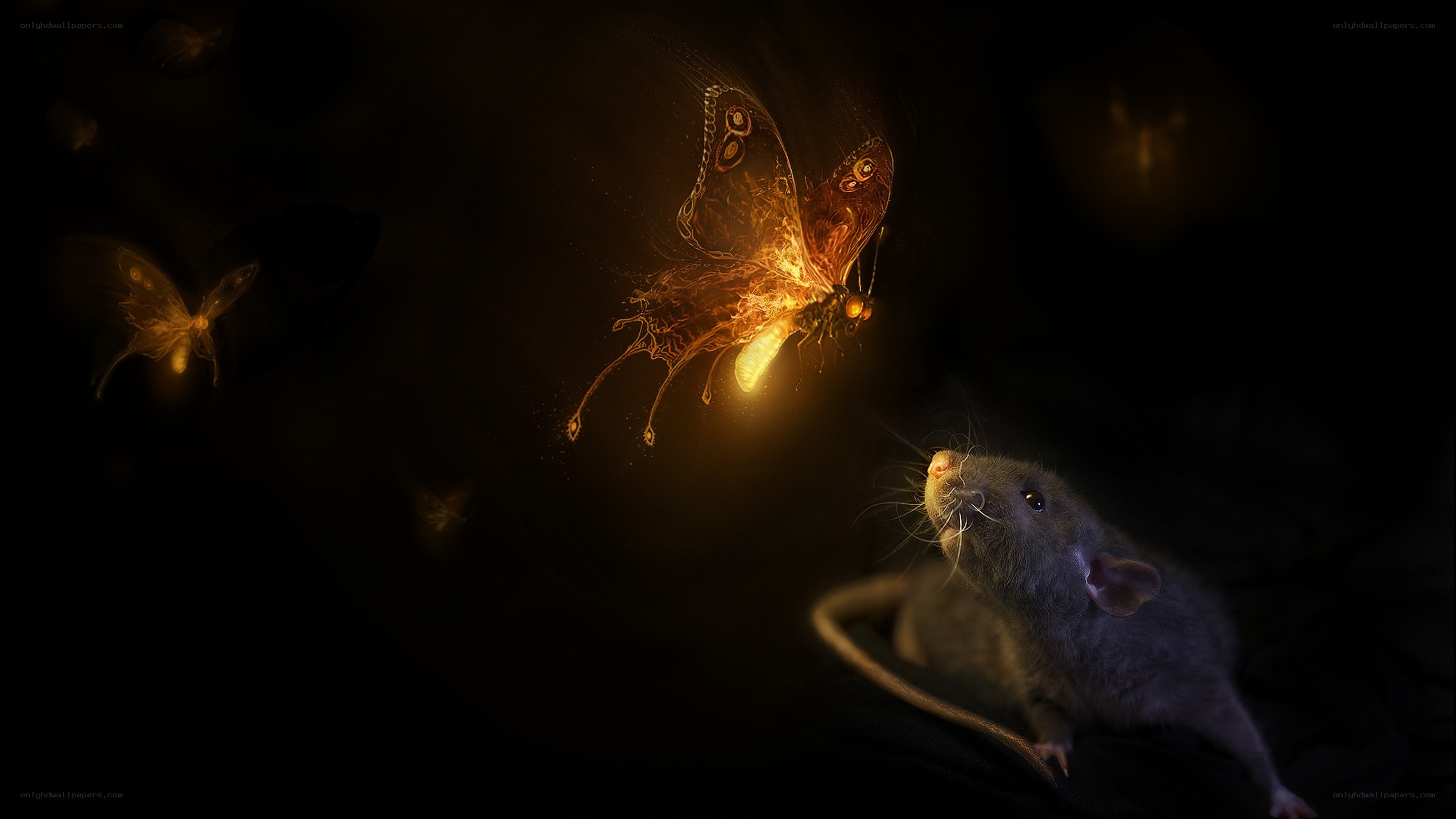 rat and glowing butterfly