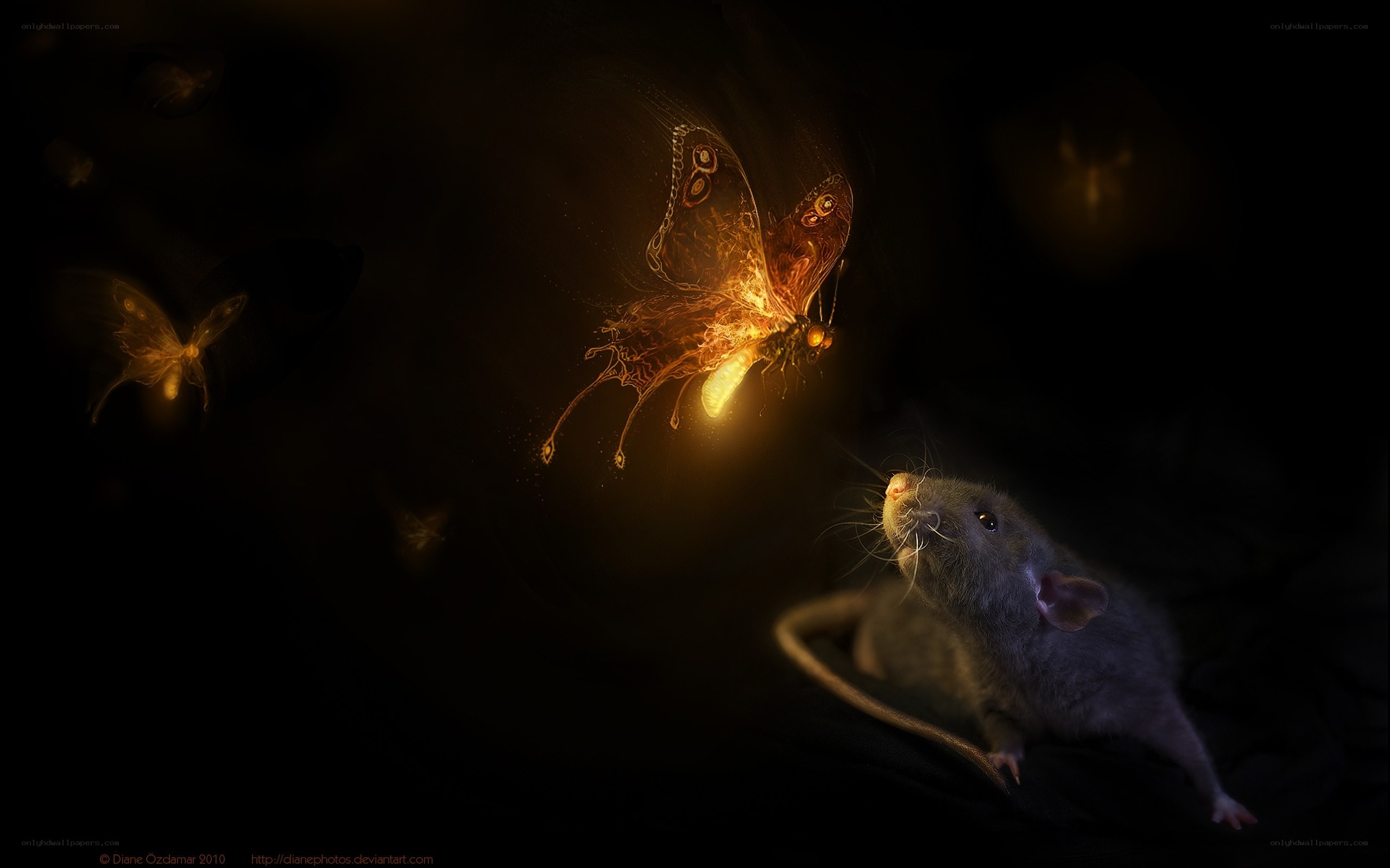 rat and glowing butterfly
