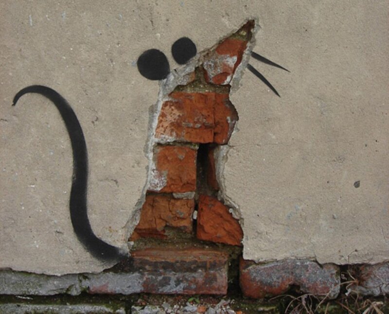 Rat Graffiti on Wall — Gray