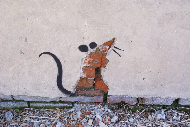rat graffiti on wall