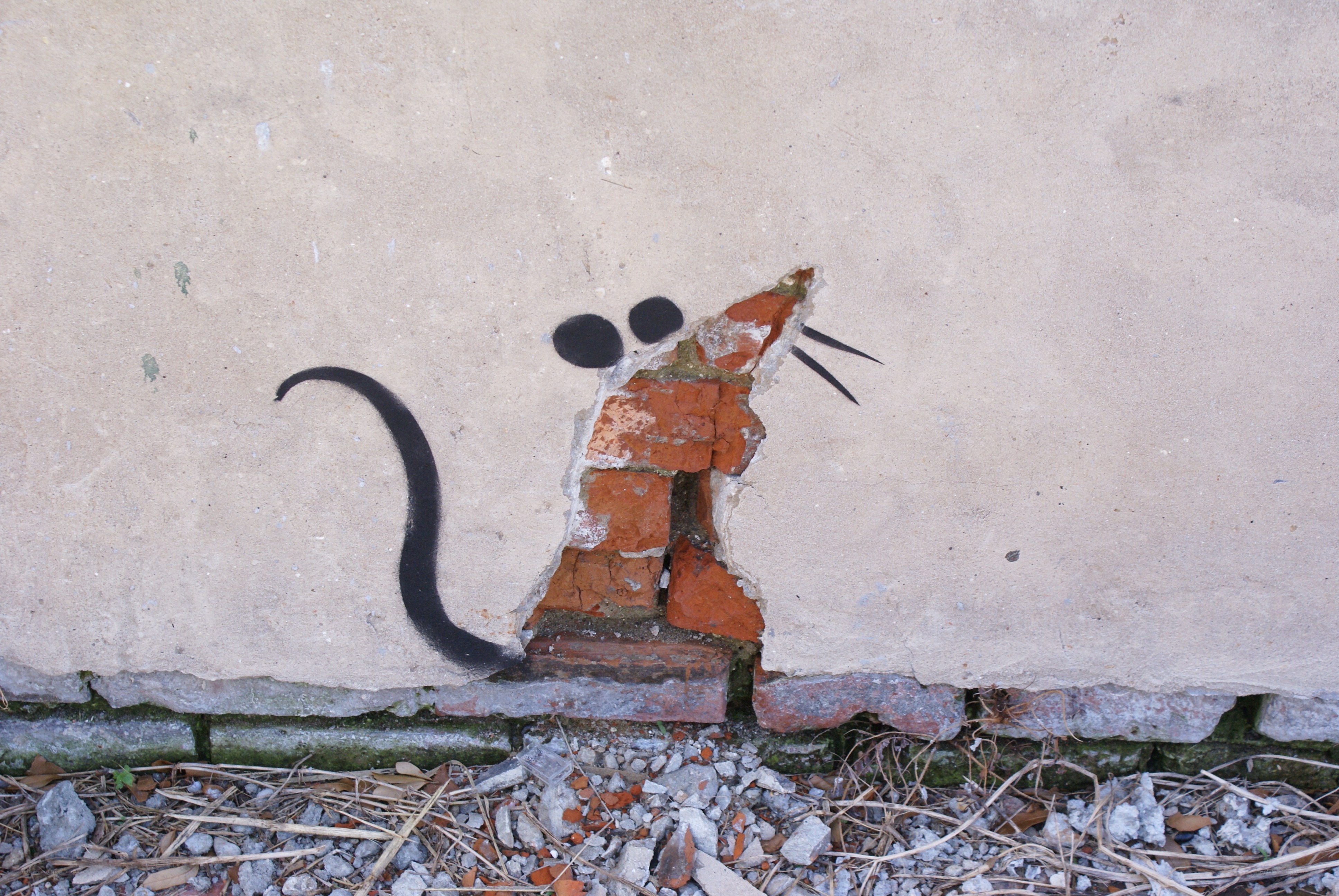 rat graffiti on wall