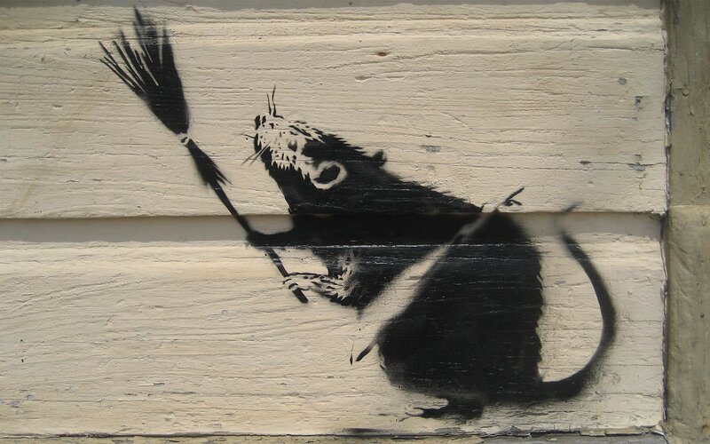 Rat Holding Broom