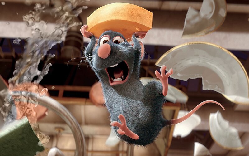 Rat Holding Cheese