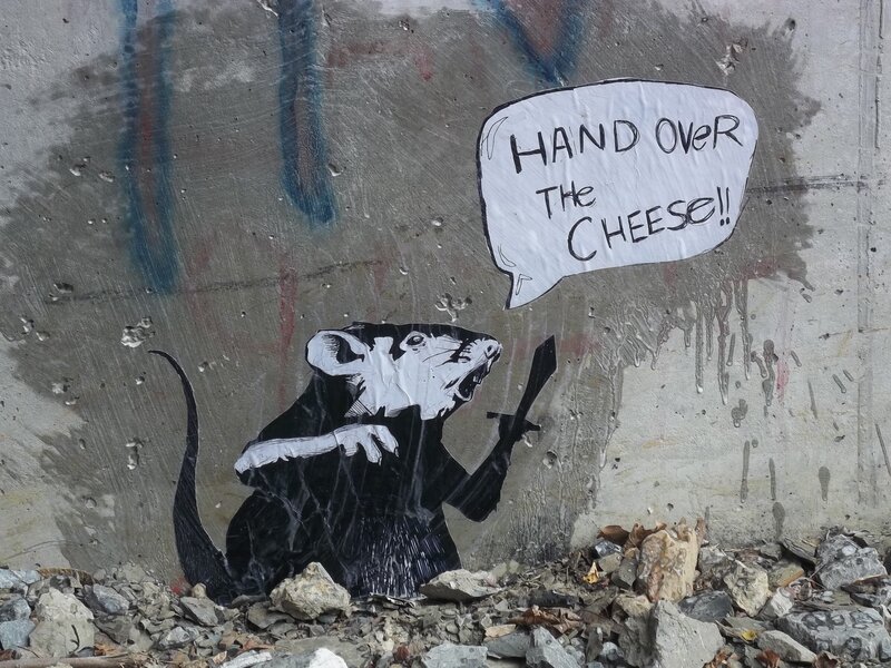 Rat Holding Knife